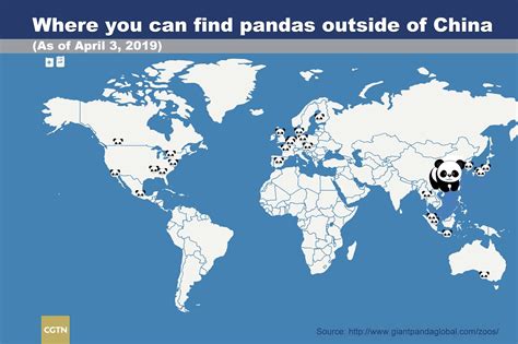 Giant Panda Population by Country 2024 .